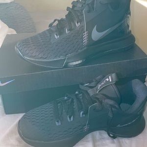 Lebron James Nike basketball shoes